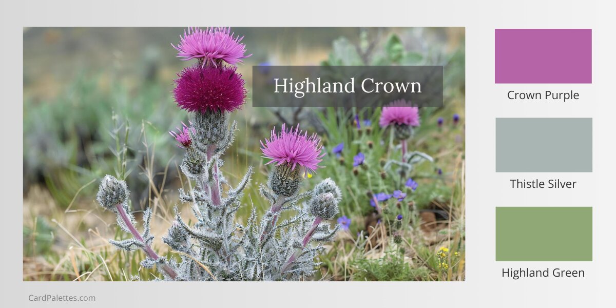Purple spiky wildflowers with silvery-green stems in mountain meadow beside three color swatches in purple, gray, and green