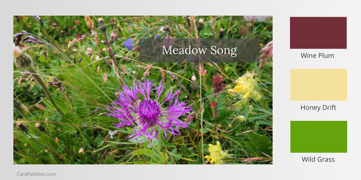 Purple and yellow wildflowers in green meadow grasses with three color swatches: burgundy, butter yellow, lime green