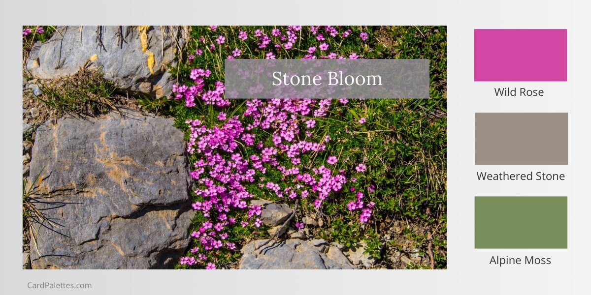 Pink wildflowers growing between gray weathered stone rocks with three color swatches: pink, gray-taupe, and olive green